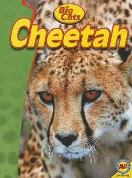 Paperback Cheetah Book