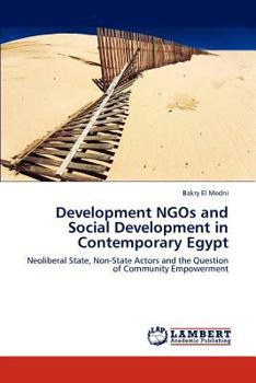 Paperback Development NGOs and Social Development in Contemporary Egypt Book