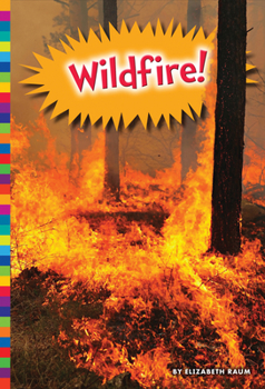 Paperback Wildfire! Book