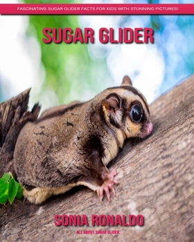 All About Sugar Glider: Fascinating Sugar Glider Facts for Kids with Stunning Pictures!