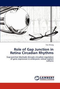 Paperback Role of Gap Junction in Retina Circadian Rhythms Book