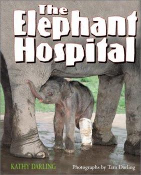 Library Binding Elephant Hospital Book