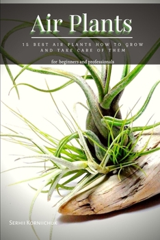 Air Plants: 15 Best Air Plants How tо Grow аnd Take Care of Them