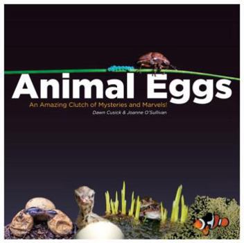 Paperback Animal Eggs: An Amazing Clutch of Mysteries and Marvels Book