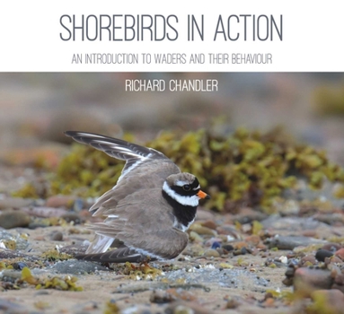Paperback Shorebirds in Action Book
