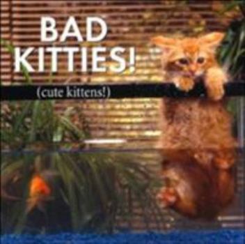 Hardcover Bad Kitties Cute Kittens Book