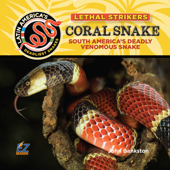 Coral Snake : South America's Deadly Venomous Snake