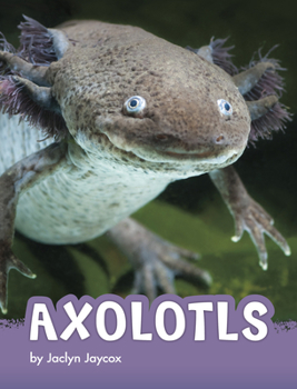 Paperback Axolotls Book