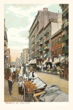 Paperback Vintage Journal Mulberry Street, New York City Book