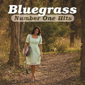 Music - CD Bluegrass Number One Hits Book