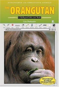 Library Binding The Orangutan: A Myreportlinks.com Book