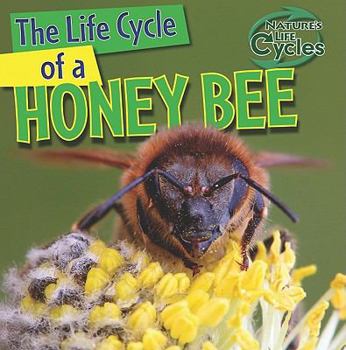The Life Cycle of a Honeybee - Book  of the Nature's Life Cycles