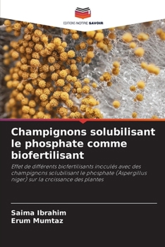 Paperback Champignons solubilisant le phosphate comme biofertilisant [French] Book