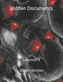 Paperback Hidden Documents: Labyrinth 6 Book