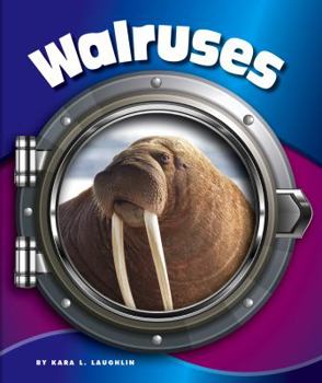 Walruses - Book  of the In the Deep Blue Sea