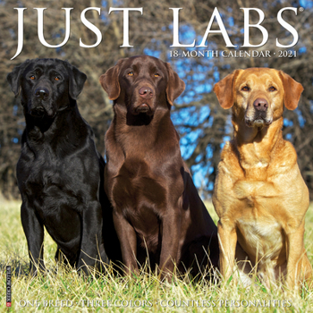 Calendar Just Labs 2021 Wall Calendar (Dog Breed Calendar) Book
