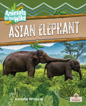 Asian Elephant (Animals in the Wild)