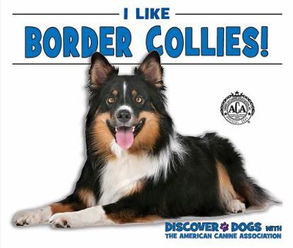 Paperback I Like Border Collies! Book