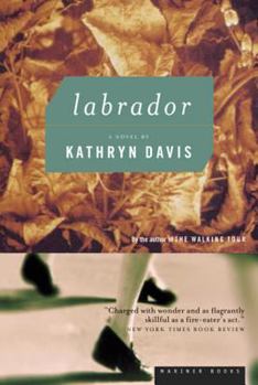 Paperback Labrador Book