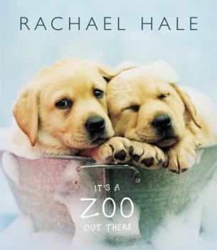 Hardcover It's a Zoo Out There Book