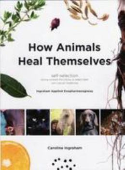 Paperback How Animals Heal Themselves: Ingraham Applied Zoopharmacognosy Book