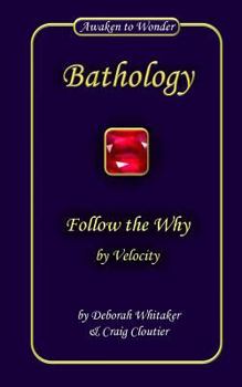 Paperback Follow the Why: by Velocity Book