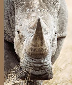 Hardcover Rhinos Book