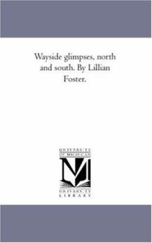 Paperback Way-Side Glimpses, North and South. by Lillian Foster. Book