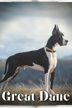 Paperback Great Dane: Dog breed overview and guide Book