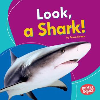 Library Binding Look, a Shark! Book