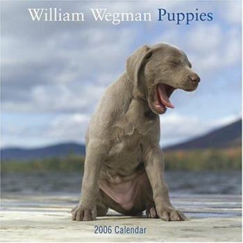 William Wegman Puppies