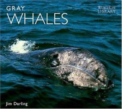 Paperback Gray Whales Book