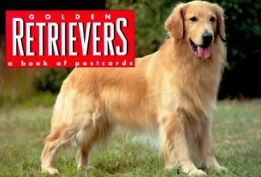 Paperback Golden Retrievers Postcard Book