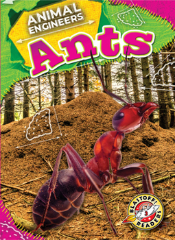 Library Binding Ants Book