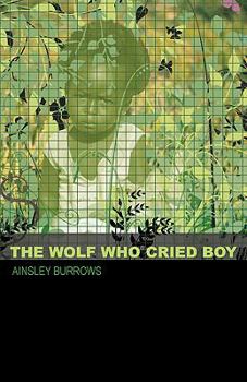 Paperback The Wolf Who Cried Boy Book
