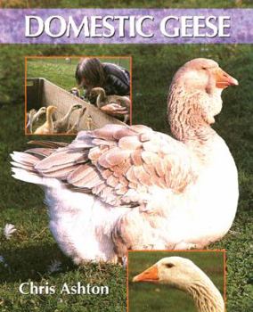 Hardcover Domestic Geese Book