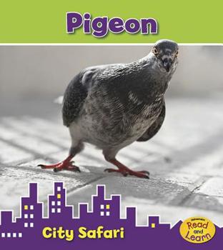 Hardcover Pigeon Book