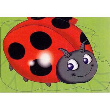 Ladybird (Chunky Animals)