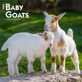 Baby Goats 2026 12 X 24 Inch (Hanging) Monthly Square Wall Calendar Plastic-Free