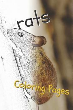 Paperback Rat Coloring Pages: Beautiful Rats Drawings for Kids and for Adults Relaxation Book