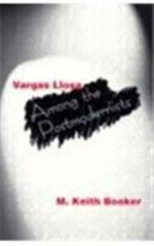 Hardcover Vargas Llosa Among the Postmodernists Book