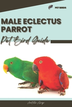 Paperback Male Eclectus Parrot: Pet bird guide Book