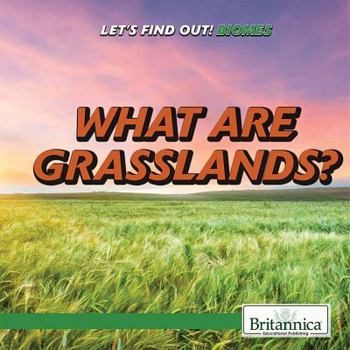 Library Binding What Are Grasslands? Book