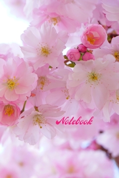 Notebook: Lined Notebook Journal, 120 pages, (6 x 9 inches) (Notebook 6x9)