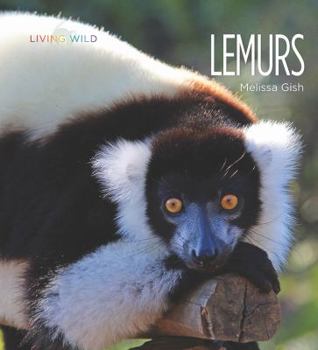 Lemurs - Book  of the Living Wild