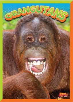 Paperback Orangutans Book