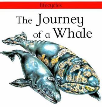 Library Binding The Journey of a Whale Book