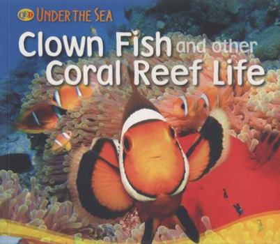 Paperback Clown Fish and Other Coral Reef Life. Sally Morgan Book