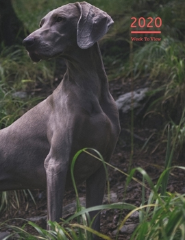 2020 A4 Diary Week To View Planner For All Occasions: | Year Planner For Business, Office, Home, University, College, School, Appointments, Organizer.