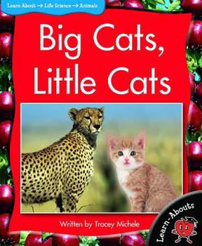 Paperback Big Cats, Little Cats Book